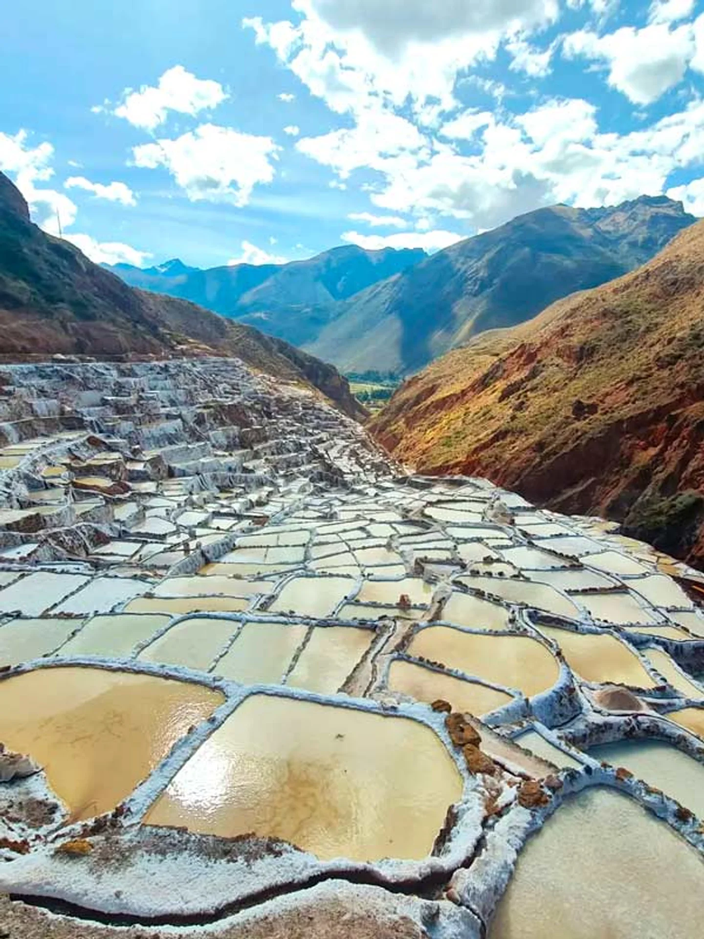 Imagen descriptiva del contenido