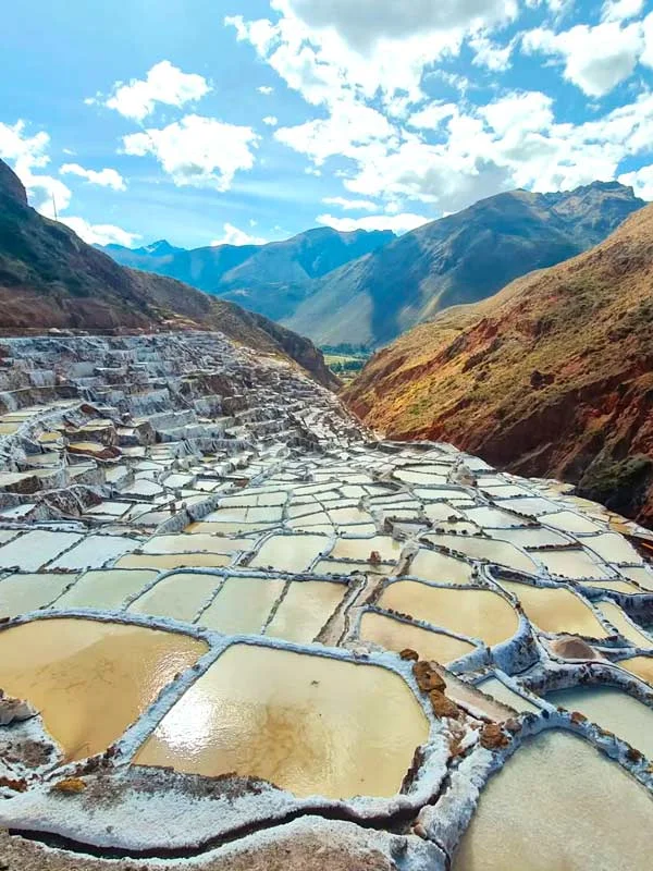 Imagen descriptiva del contenido