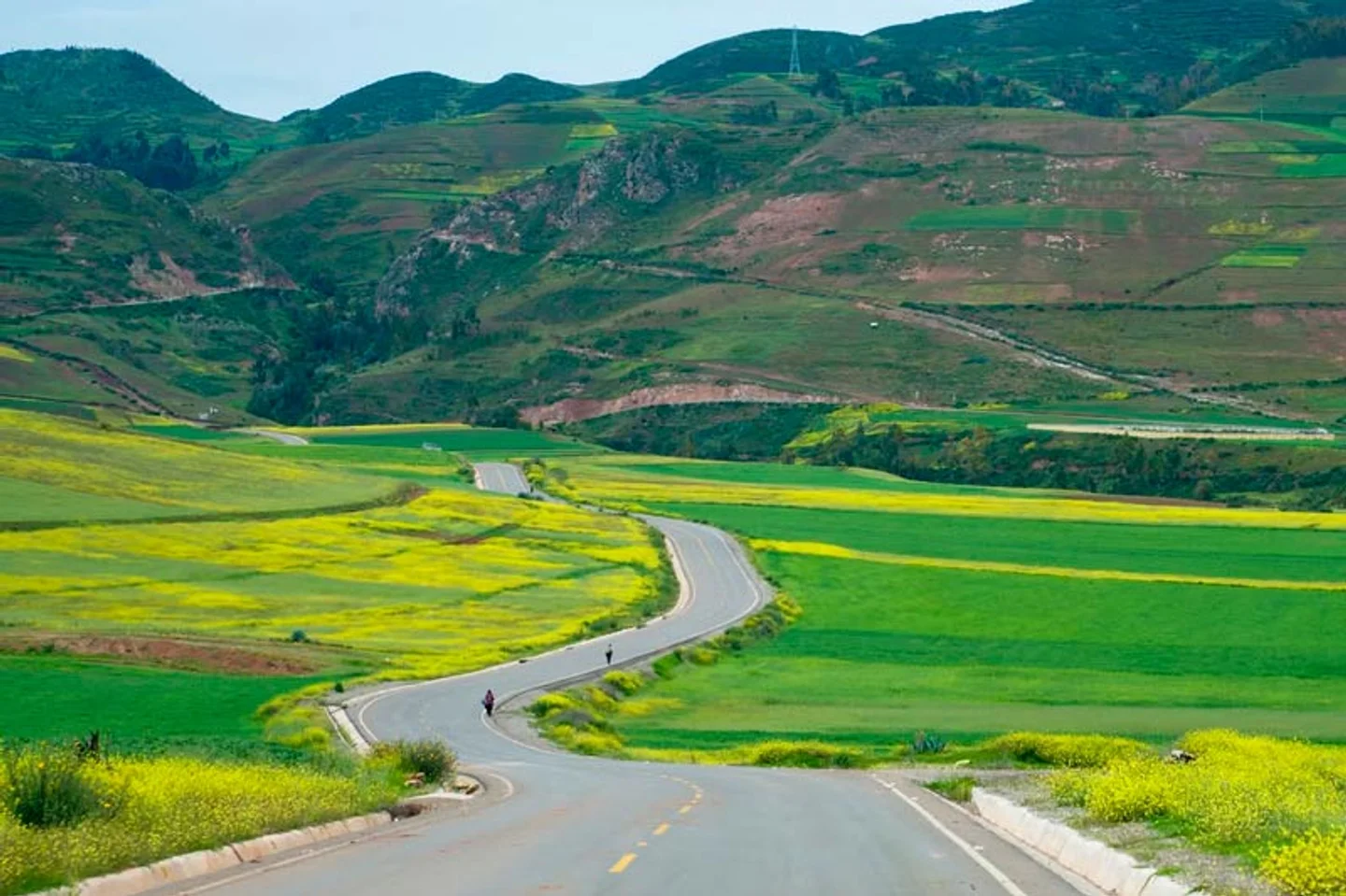 Imagen descriptiva del contenido