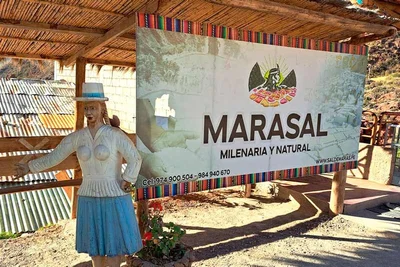 Imagen descriptiva del contenido