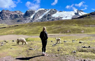 Imagen descriptiva del contenido