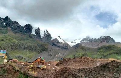 Imagen descriptiva del contenido