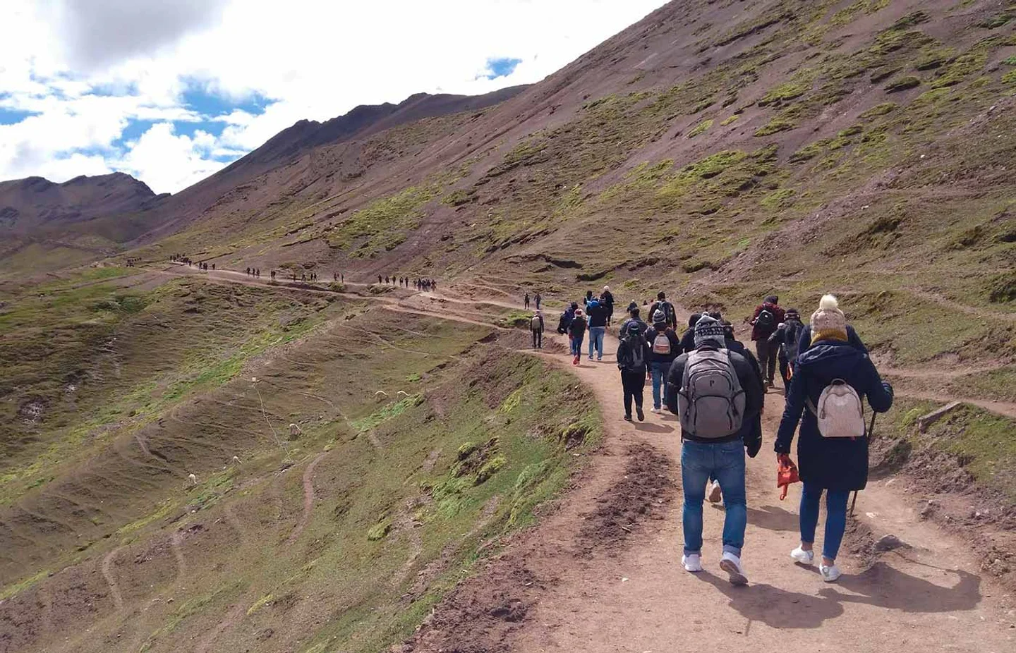 Imagen descriptiva del contenido