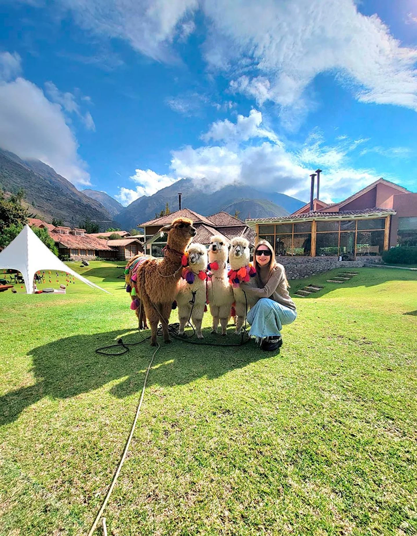 Imagen descriptiva del contenido