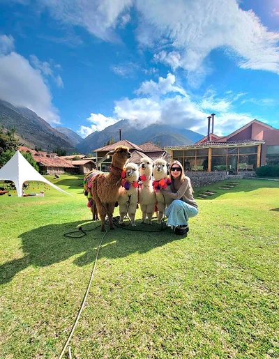 Imagen descriptiva del contenido